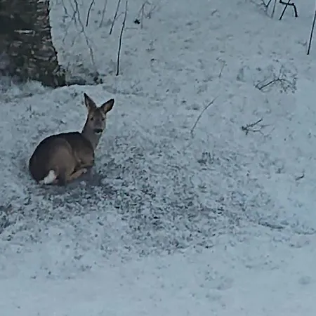 Skap Opplevelser! Villa *