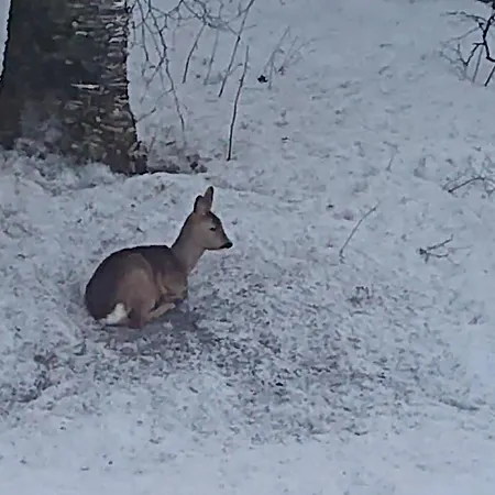 Skap Opplevelser! Villa *