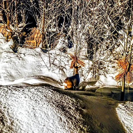 Skap Opplevelser! Villa