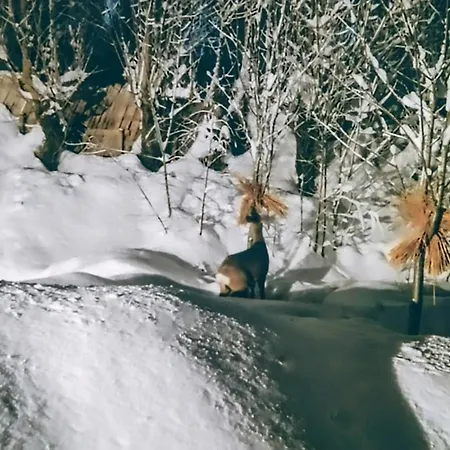 Skap Opplevelser! Villa Svingvoll